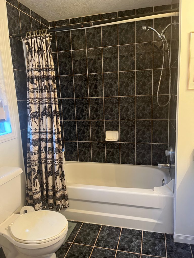 a bathroom with a shower curtain and a toilet