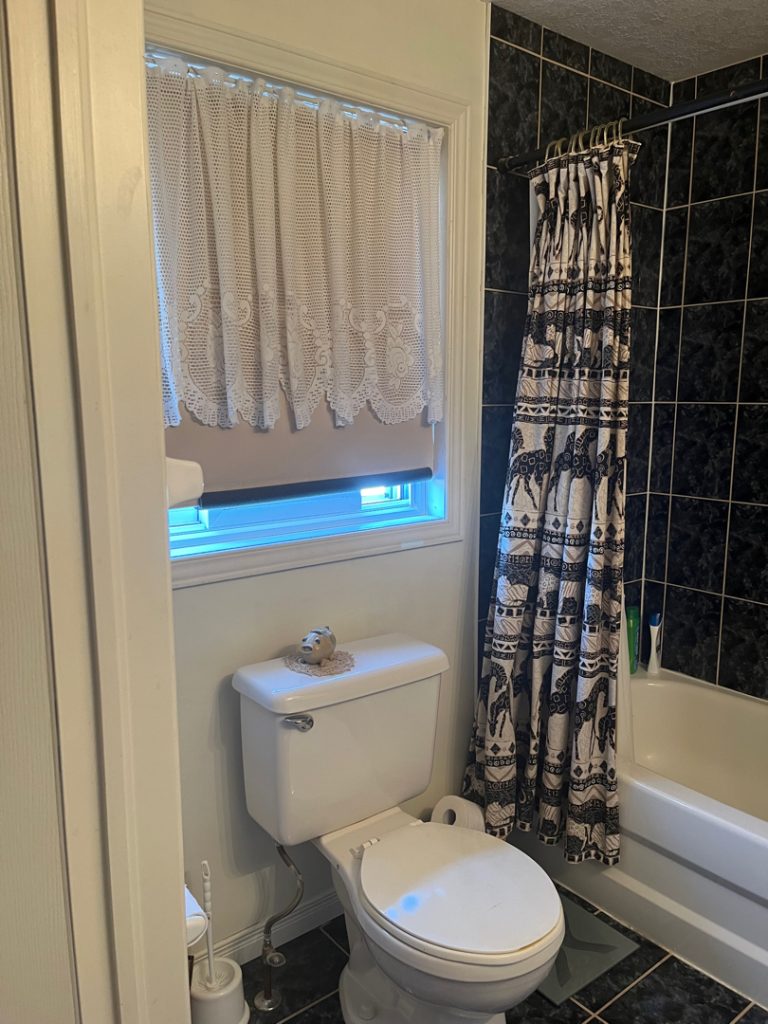 a bathroom with a white toilet and bathtub