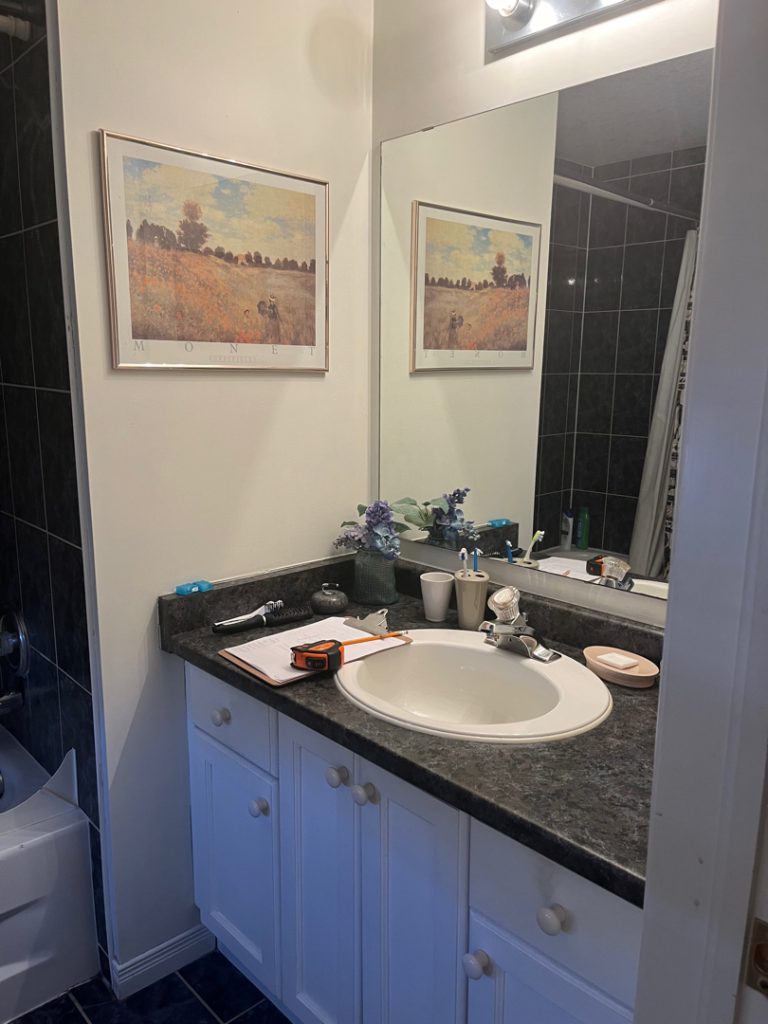 a bathroom with a sink and a mirror